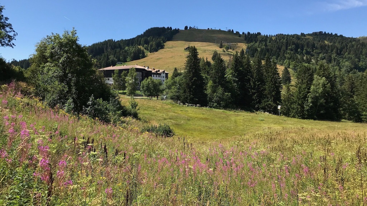 Photo of Others in Les Contamines-Montjoie