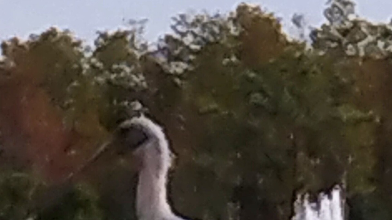 Photo of Others in Venetian Bay Villages