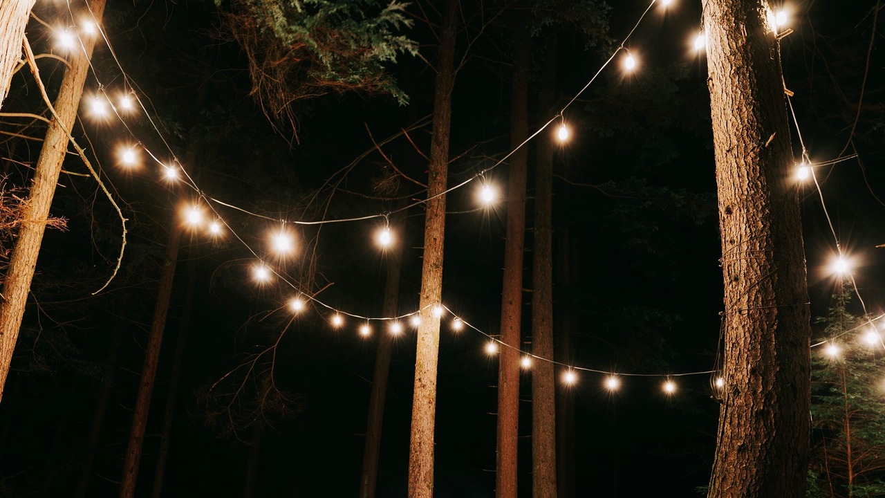 Photo of Outdoor in Port Moody