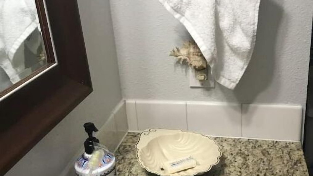 Photo of Bathroom in Windsor North River Ridge