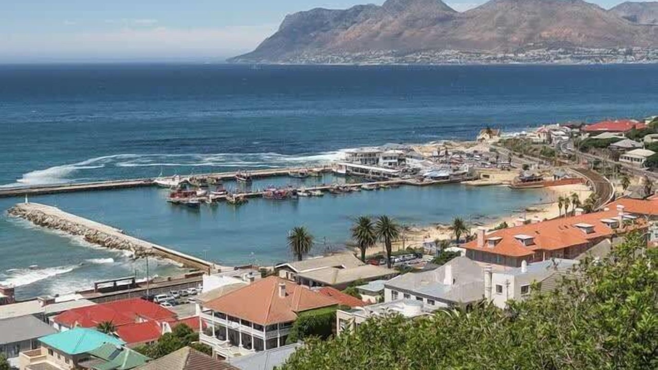Photo of Others in Cape Peninsula