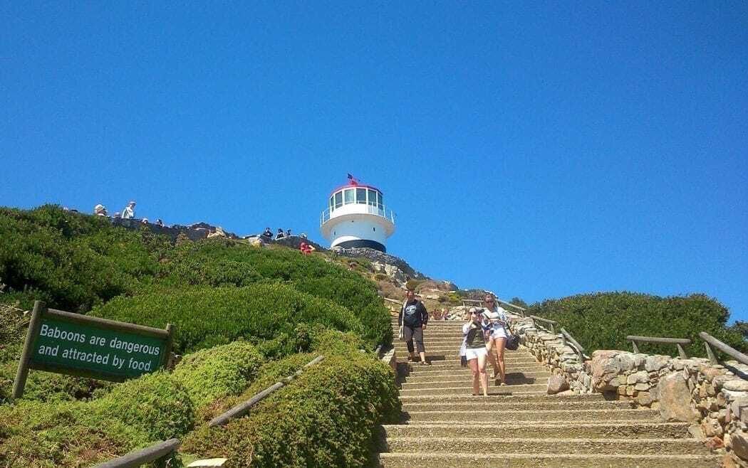 Photo of Others in Cape Peninsula