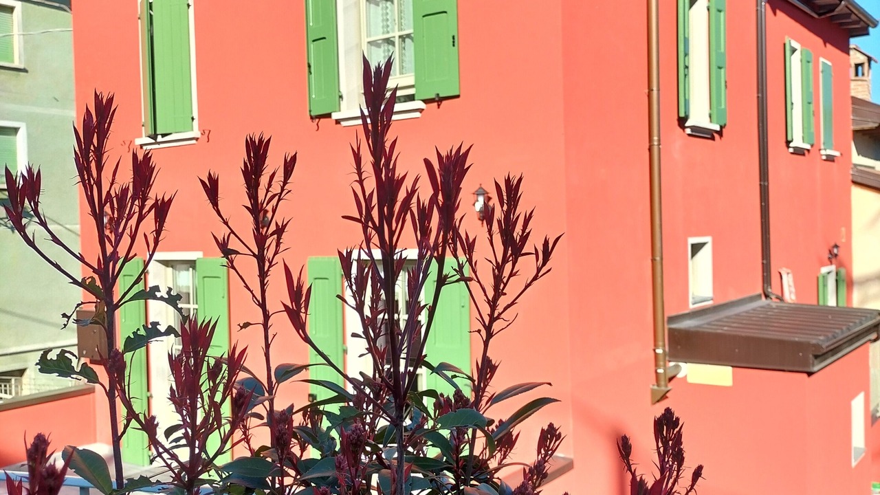 Photo of Outdoor in Gaggio Montano