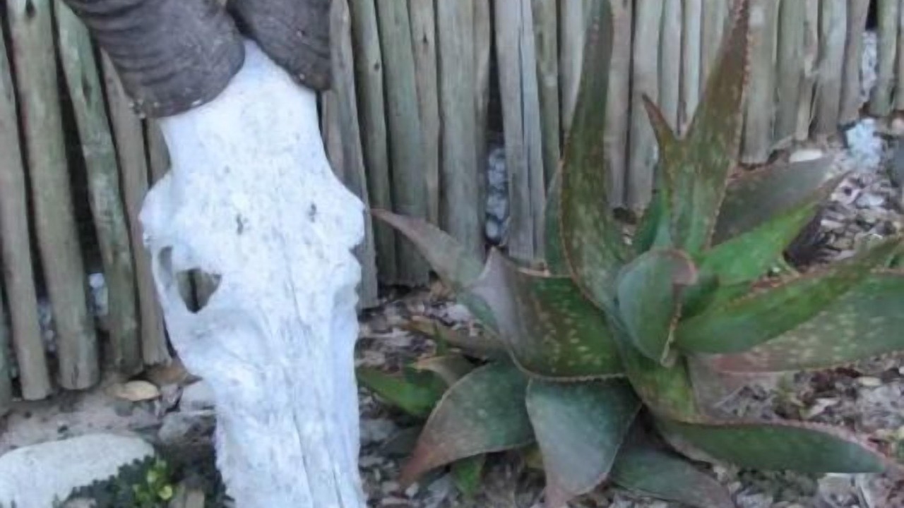Photo of Outdoor in Kommetjie
