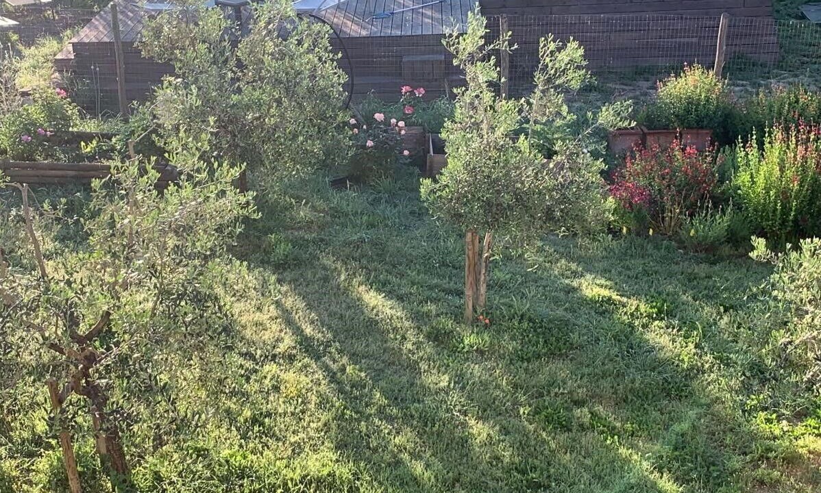 Photo of Outdoor in San Macario In Monte