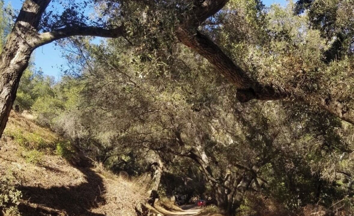 Photo of Others in Topanga