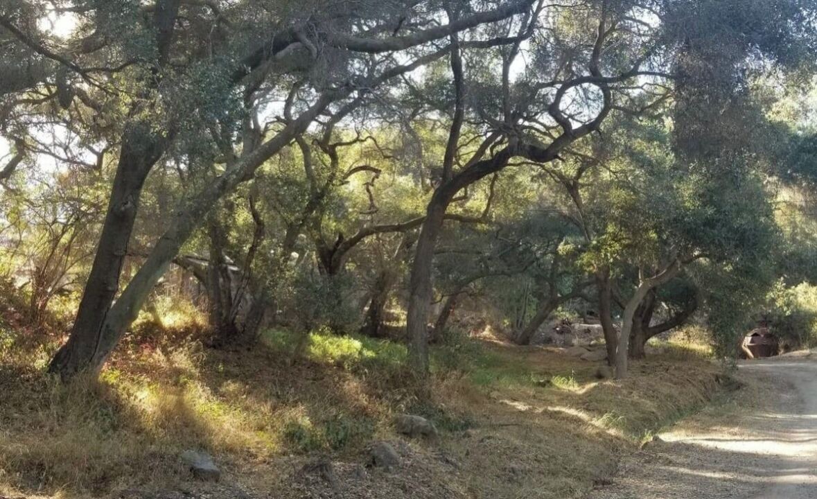 Photo of Others in Topanga