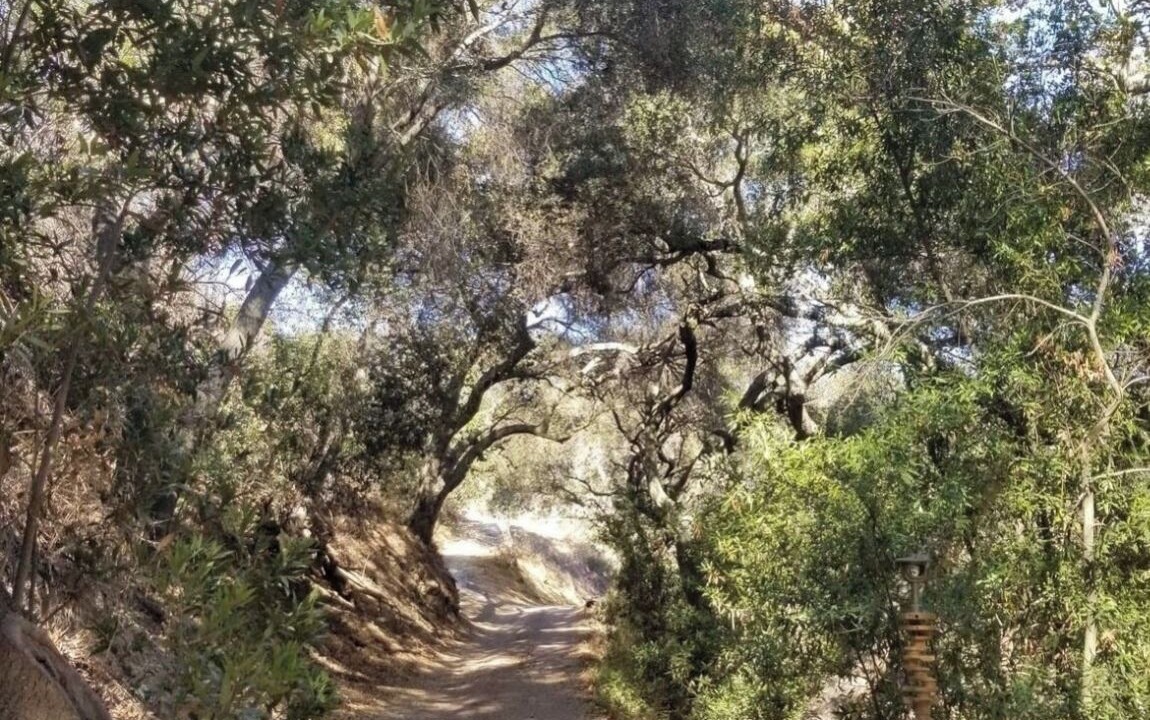 Photo of Outdoor in Topanga