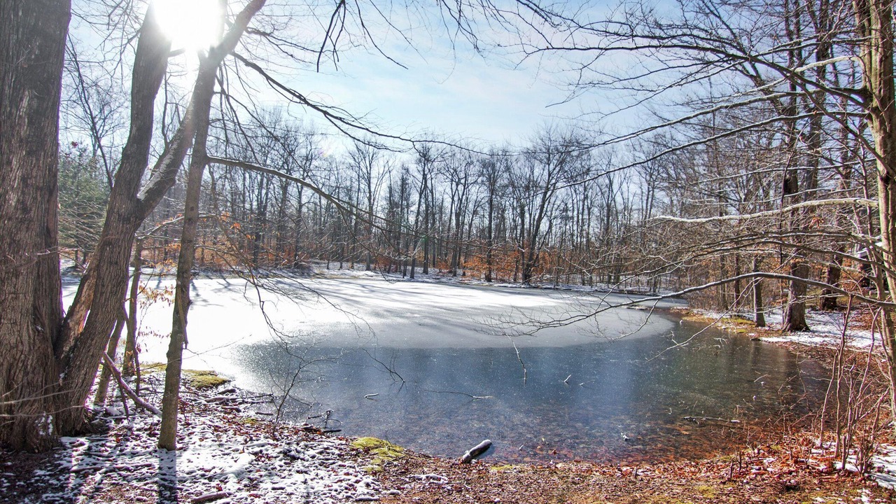Photo of Others in White Haven