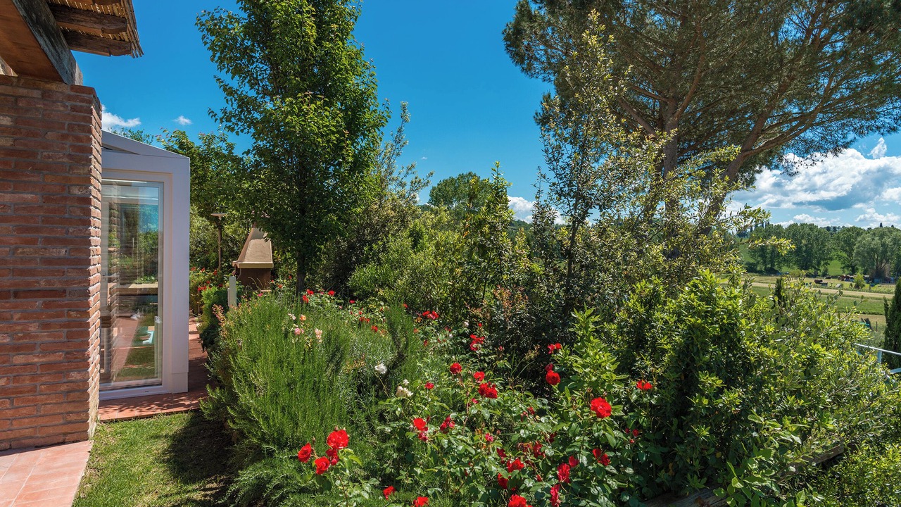 Photo of Outdoor in Palaia