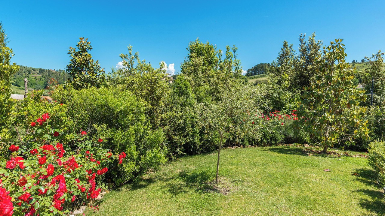 Photo of Outdoor in Palaia