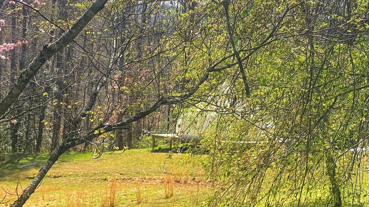 Photo of Outdoor in Boomer
