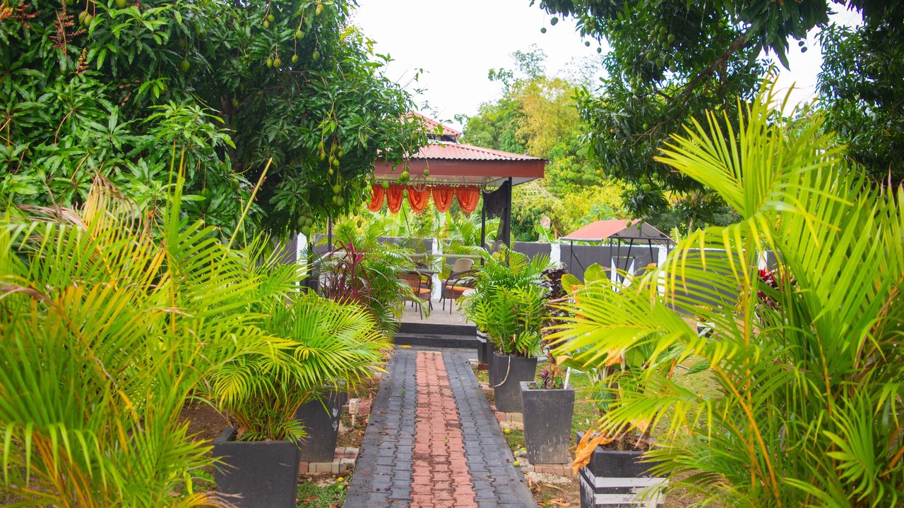 Photo of Outdoor in Tacarigua