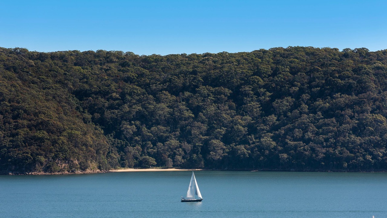 Photo of Outdoor in Whale Beach