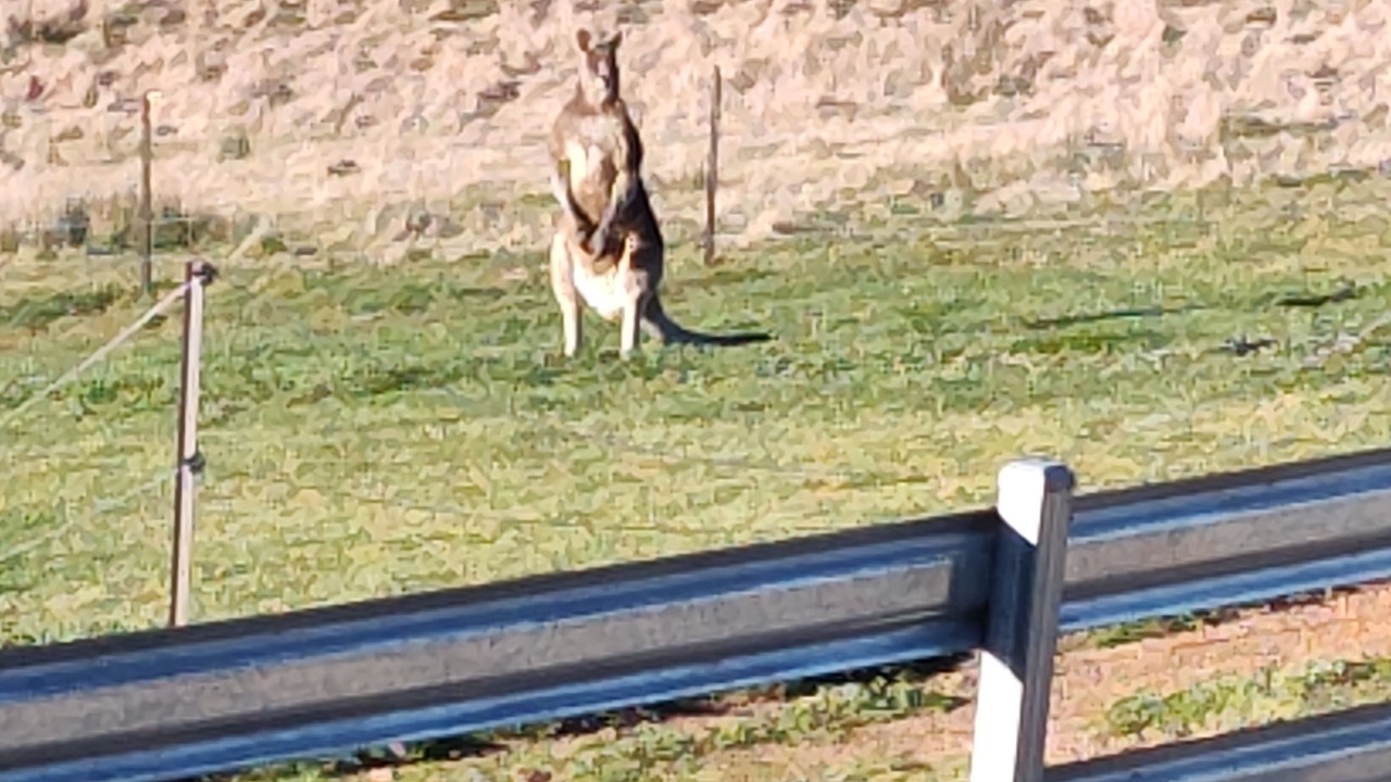 Photo of Outdoor in Springrange