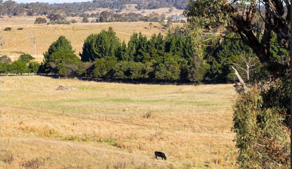 Photo of Others in Springrange