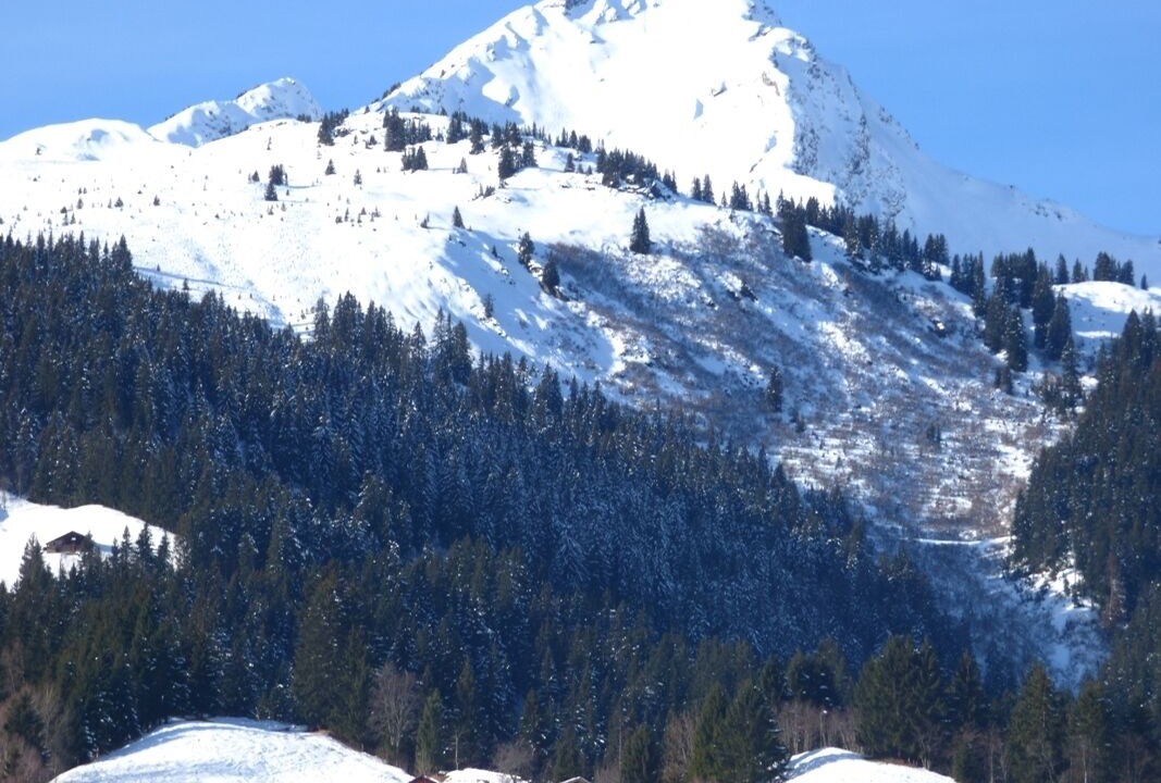 Photo of Others in Areches