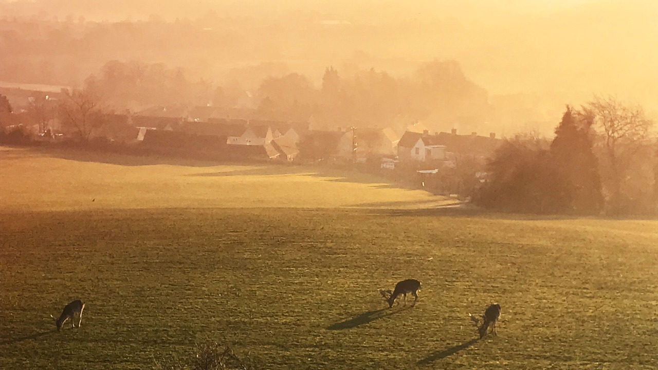 Photo of Others in Blockley