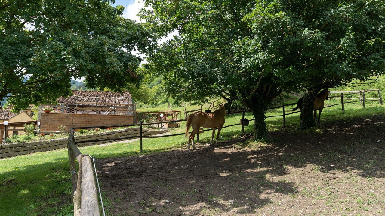 Photo of Outdoor in Borgo San Lorenzo