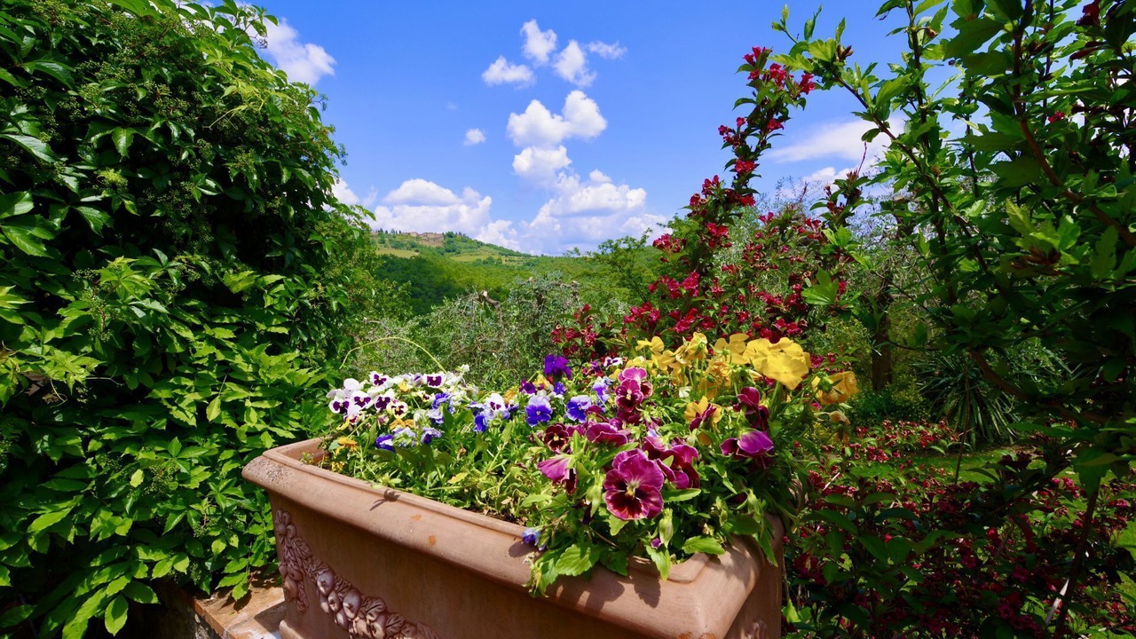 Photo of Outdoor in Castelnuovo Berardenga