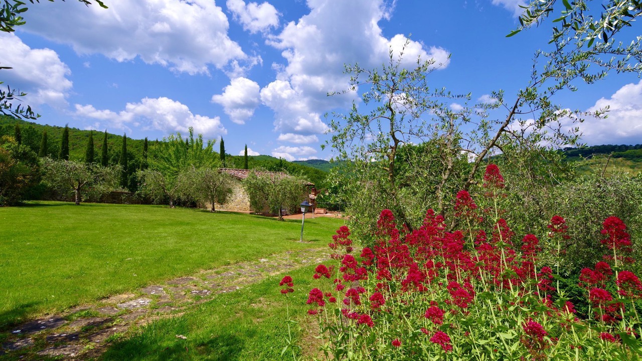 Photo of Outdoor in Castelnuovo Berardenga