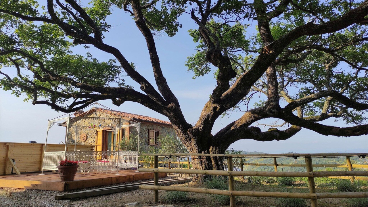 Photo of Outdoor in Castelnuovo di Val di Cecina