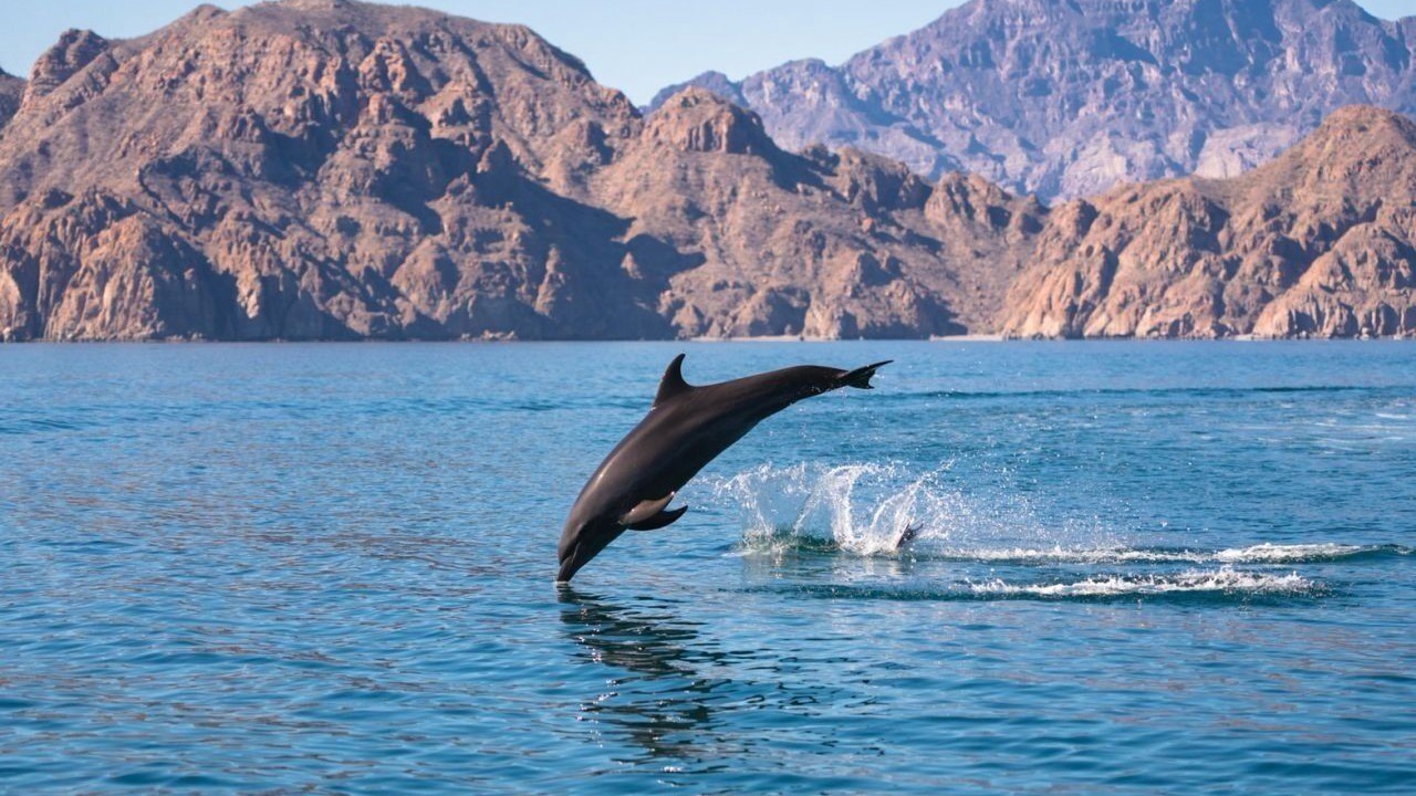 Photo of Others in Loreto