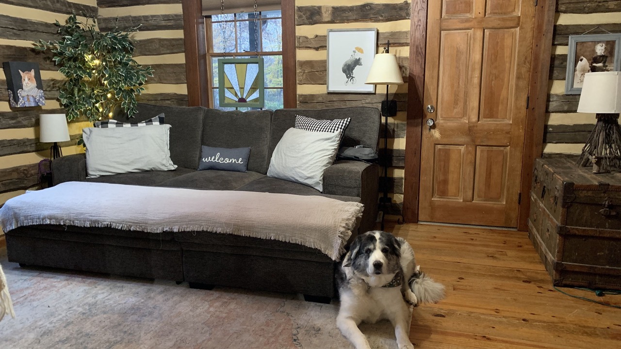 Photo of Livingroom in Stokes
