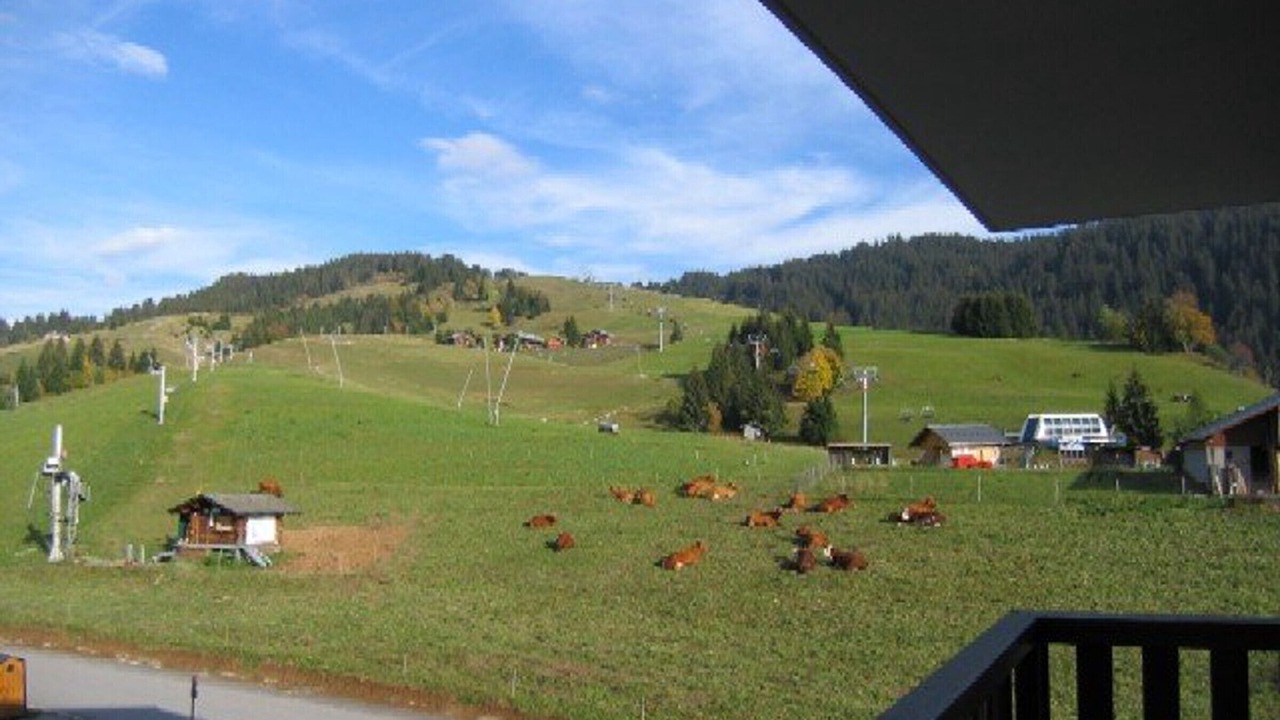 Photo of Outdoor in Cohennoz