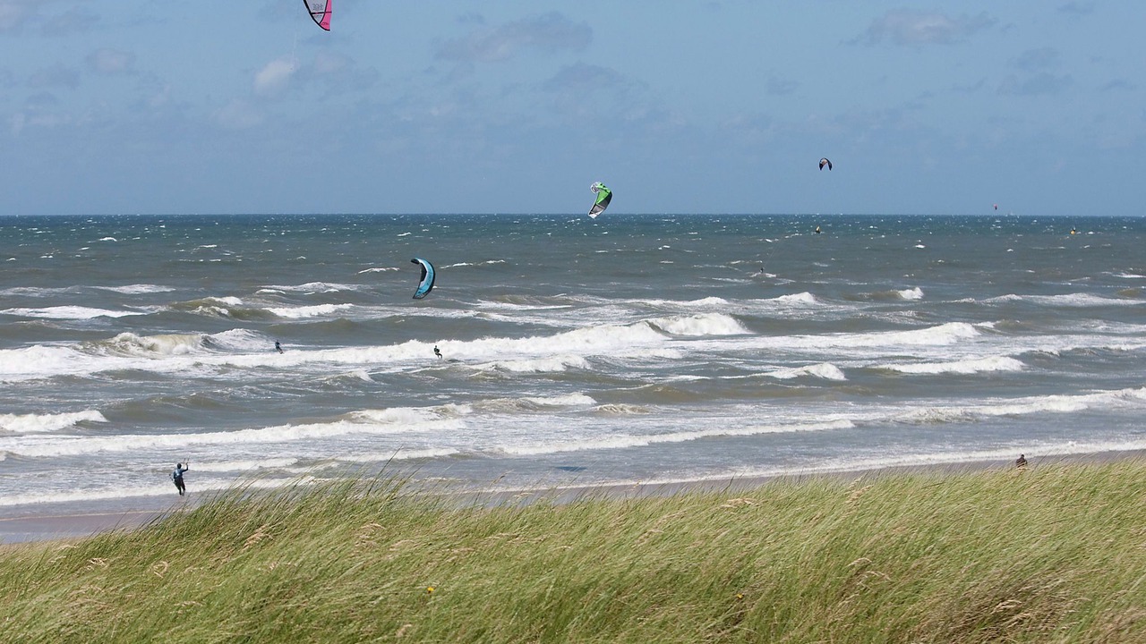 Photo of Others in Egmond aan Zee