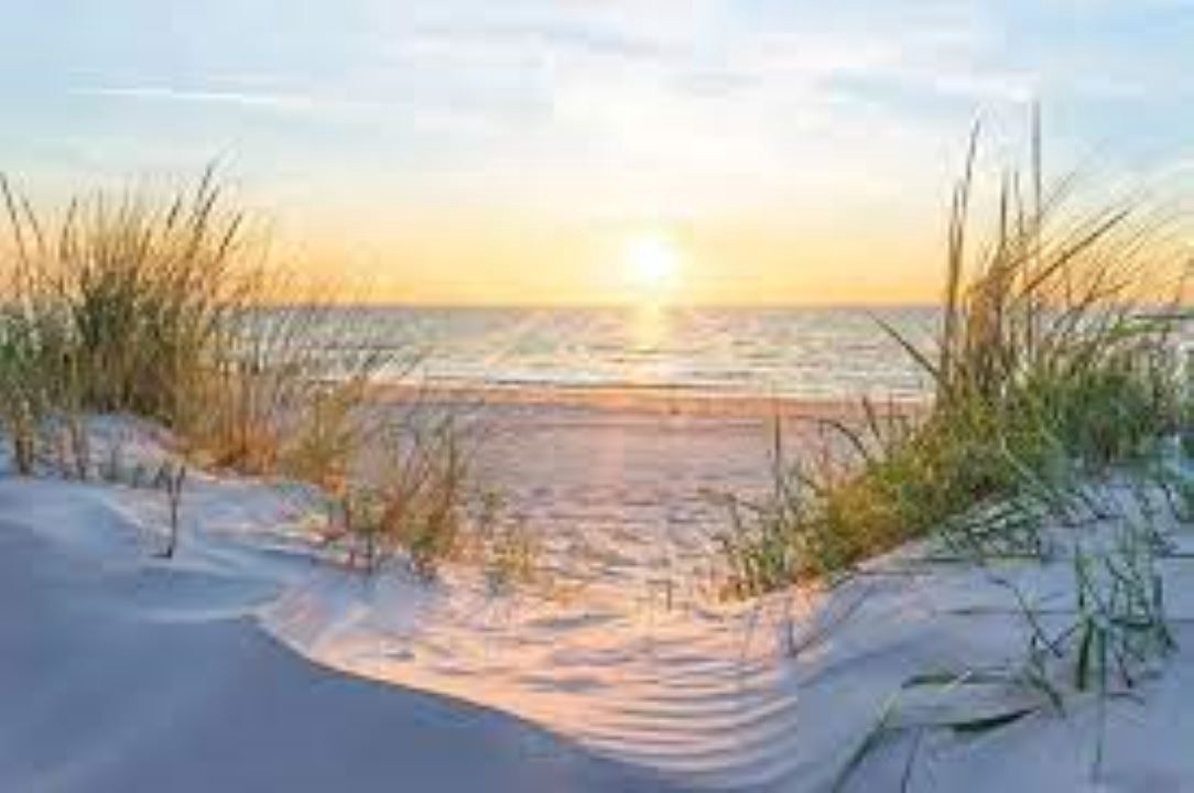 Photo of Others in Oak Island