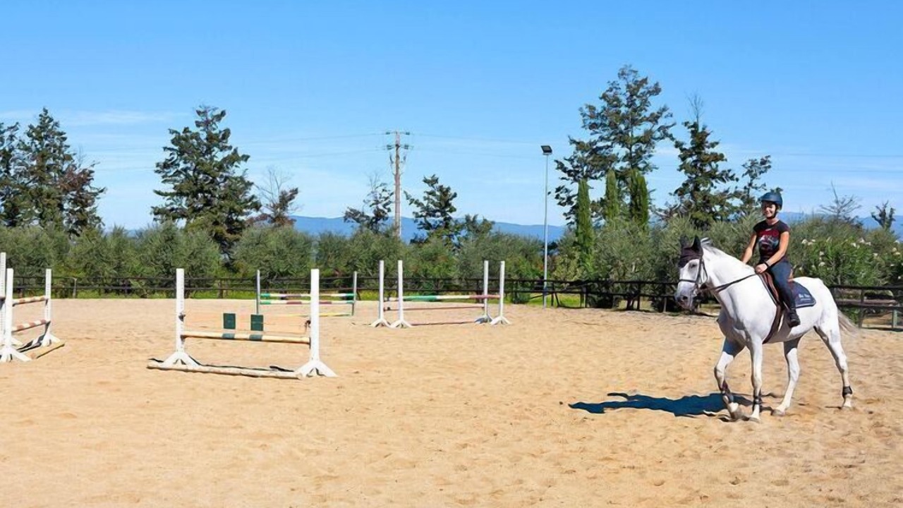 Photo of Outdoor in Fucecchio