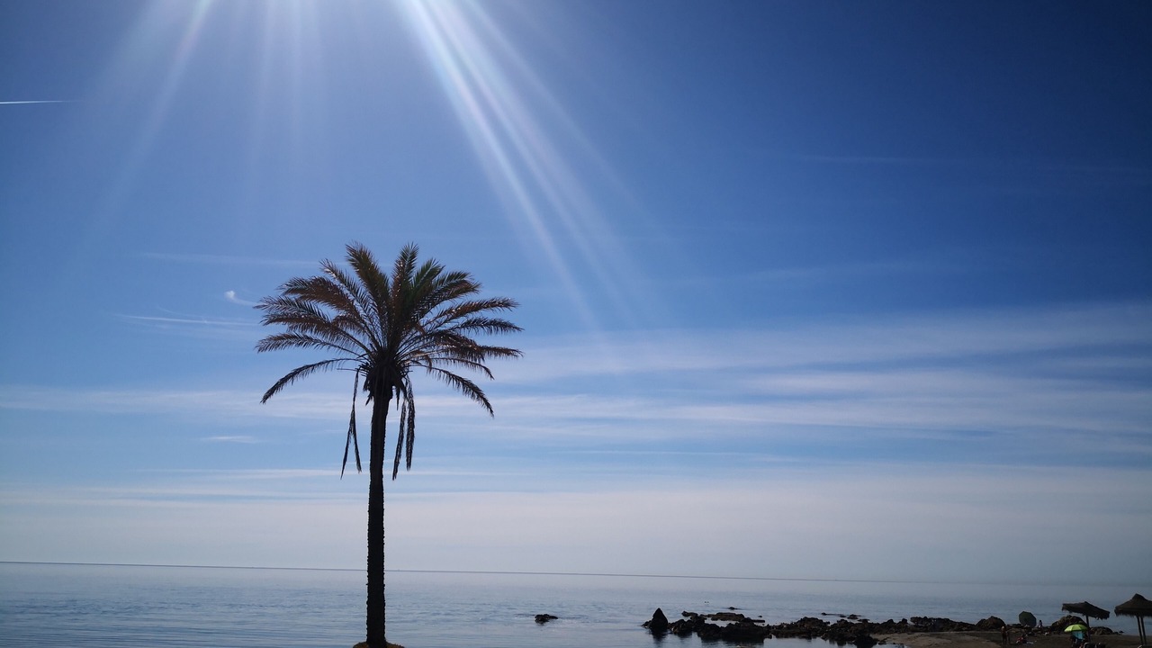 Photo of Others in Marina de Casares