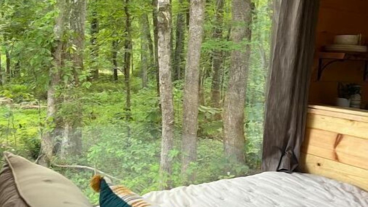 Photo of Bedroom in Winston - Salem
