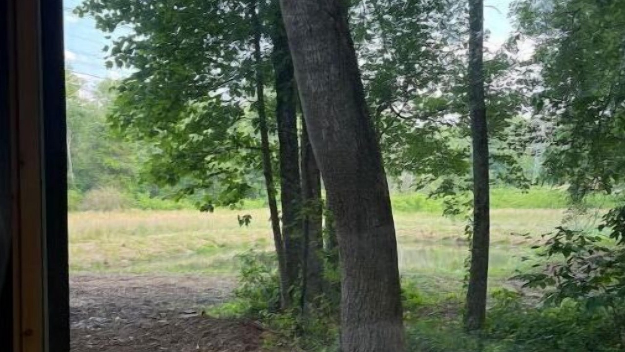 Photo of Others in Winston - Salem