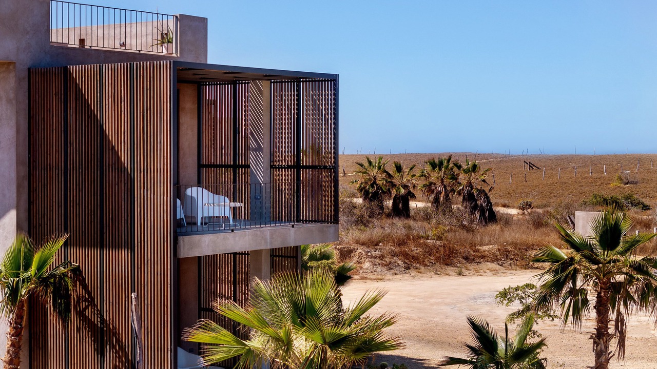 Photo of Outdoor in Todos Santos