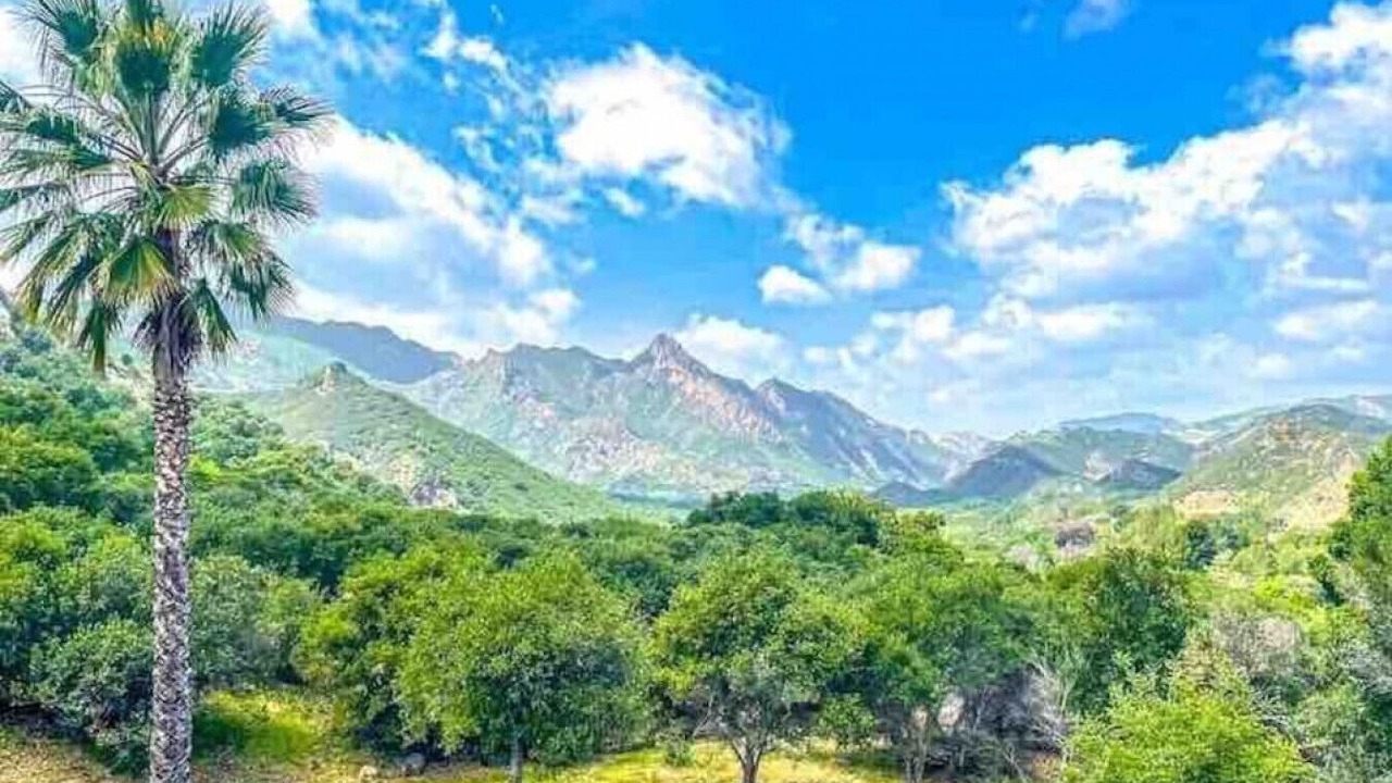 Photo of Others in Calabasas
