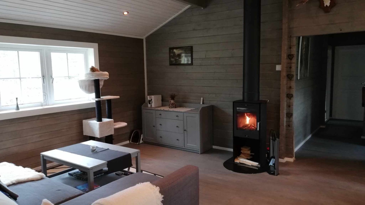 Photo of Livingroom in Trysil