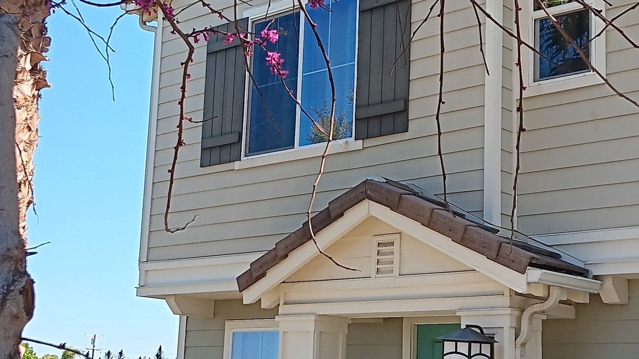 Photo of Outdoor in Imperial Beach
