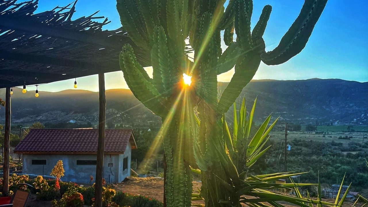 Photo of Others in Valle de Guadalupe