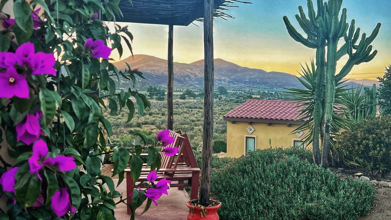 Photo of Others in Valle de Guadalupe