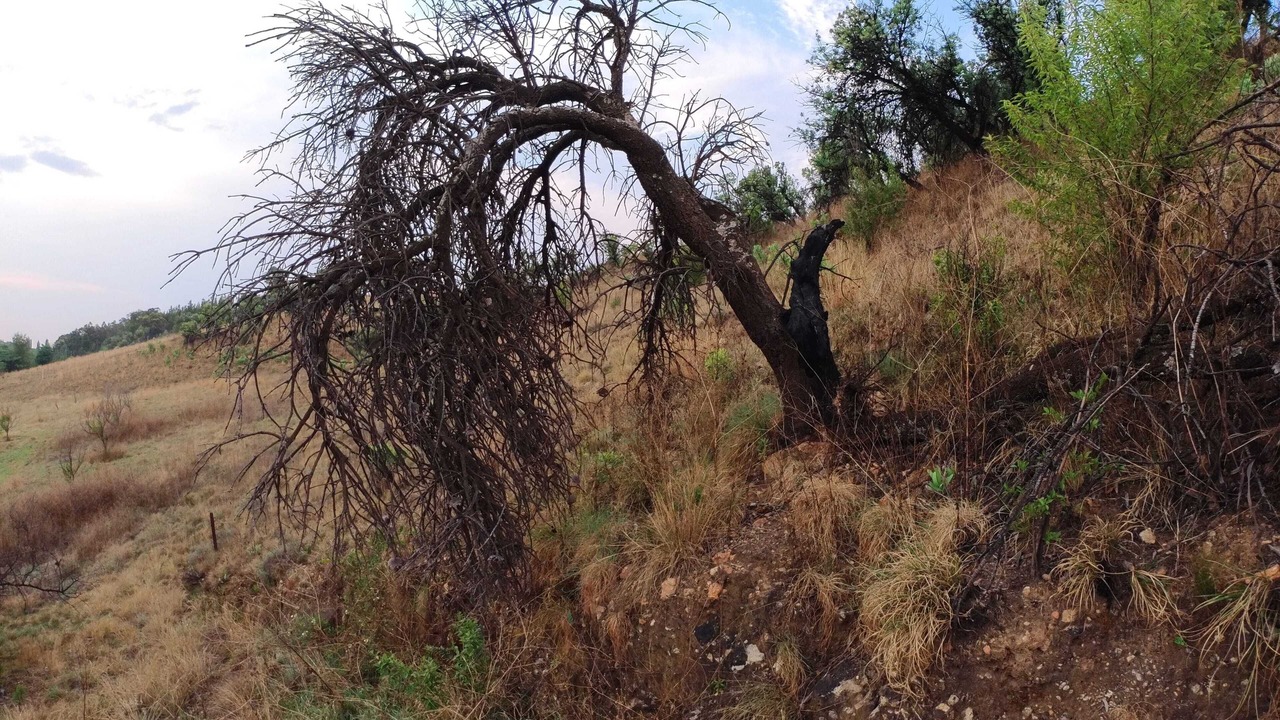 Photo of Outdoor in Krugersdorp