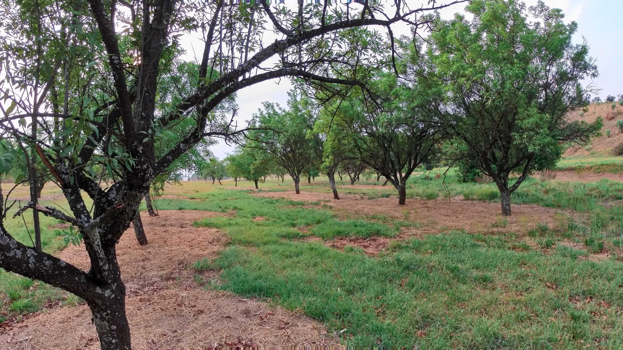 Photo of Outdoor in Krugersdorp