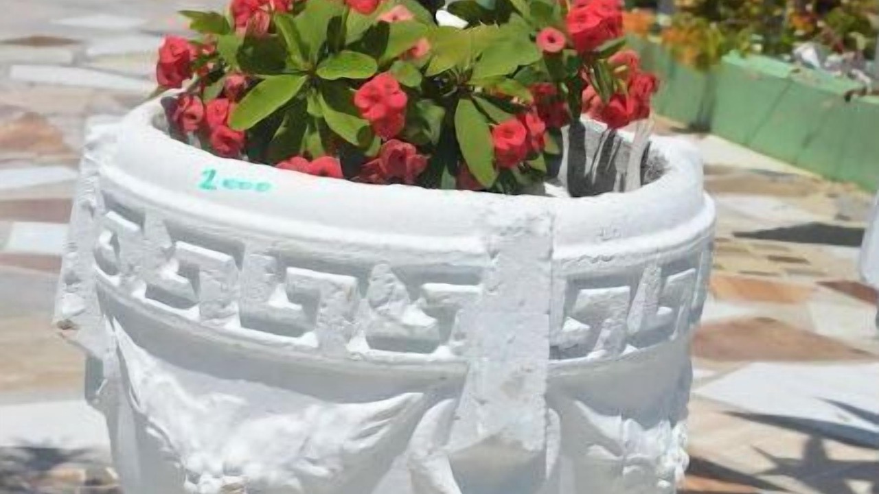 Photo of Outdoor in Salt Gut