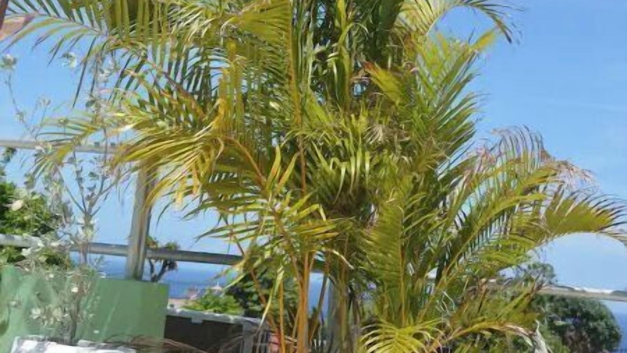 Photo of Outdoor in Salt Gut