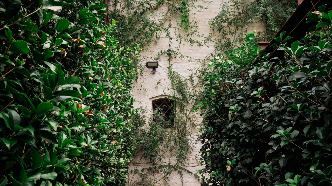 Photo of Outdoor in Botteghe di Albinea