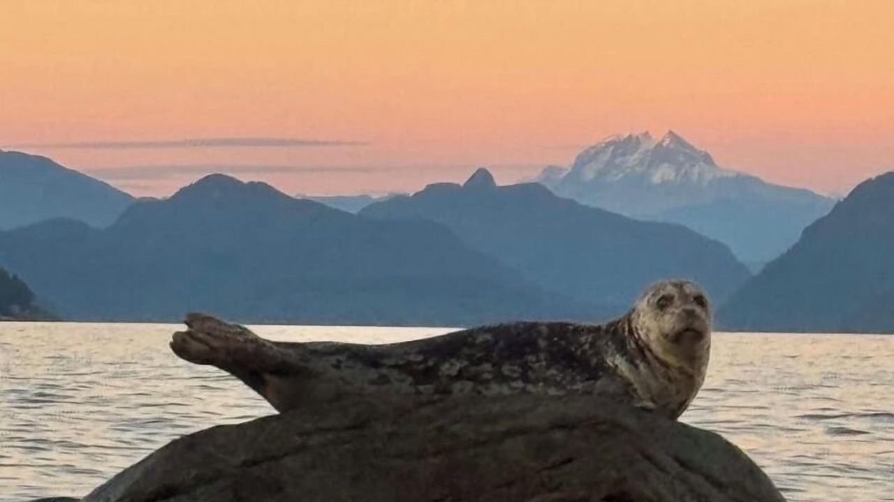 Photo of Others in Bowen Island