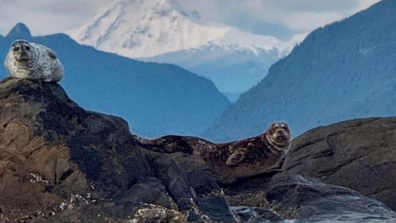 Photo of Others in Bowen Island