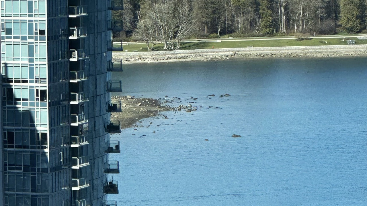 Photo of Bedroom in Coal Harbour