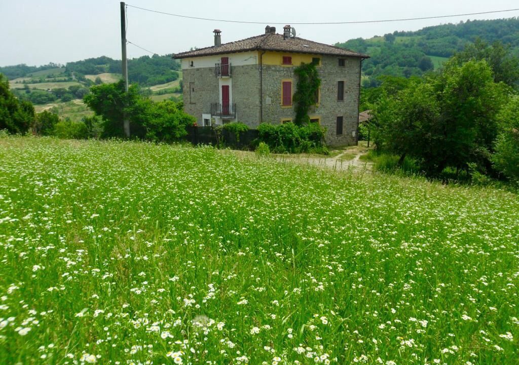 Photo of Outdoor in Ponte dell'Olio